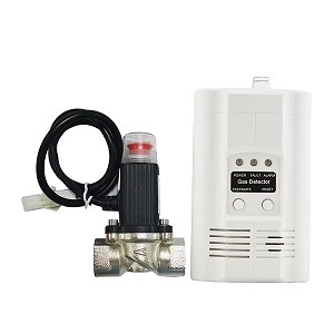 Asenware Standalone Gas Detector With Magnetic Valve AW-CGD2166-1