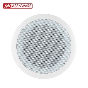 6W Big ceiling speaker  AW-SP02